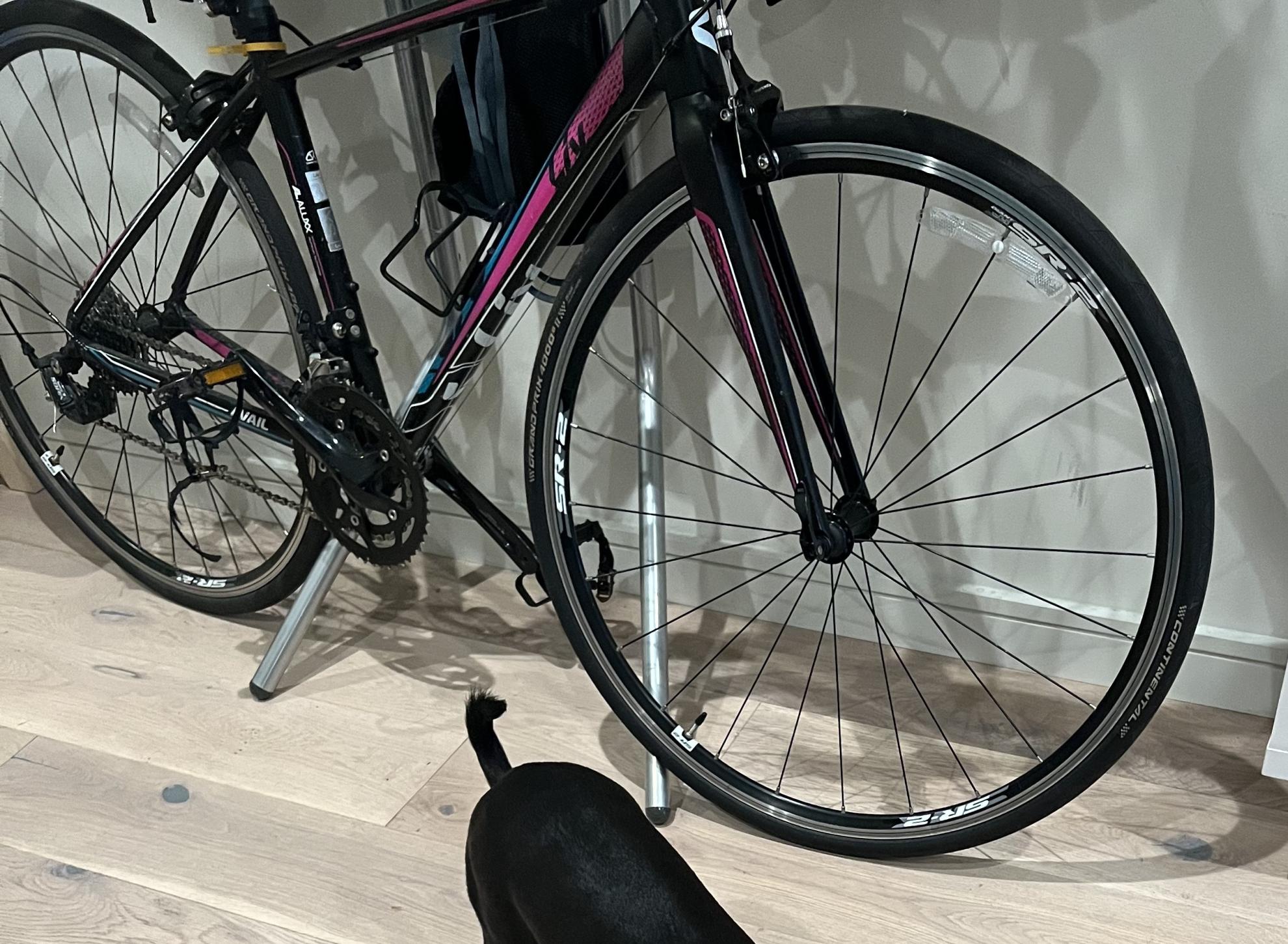 2016 Giant 2016 Black and Pink