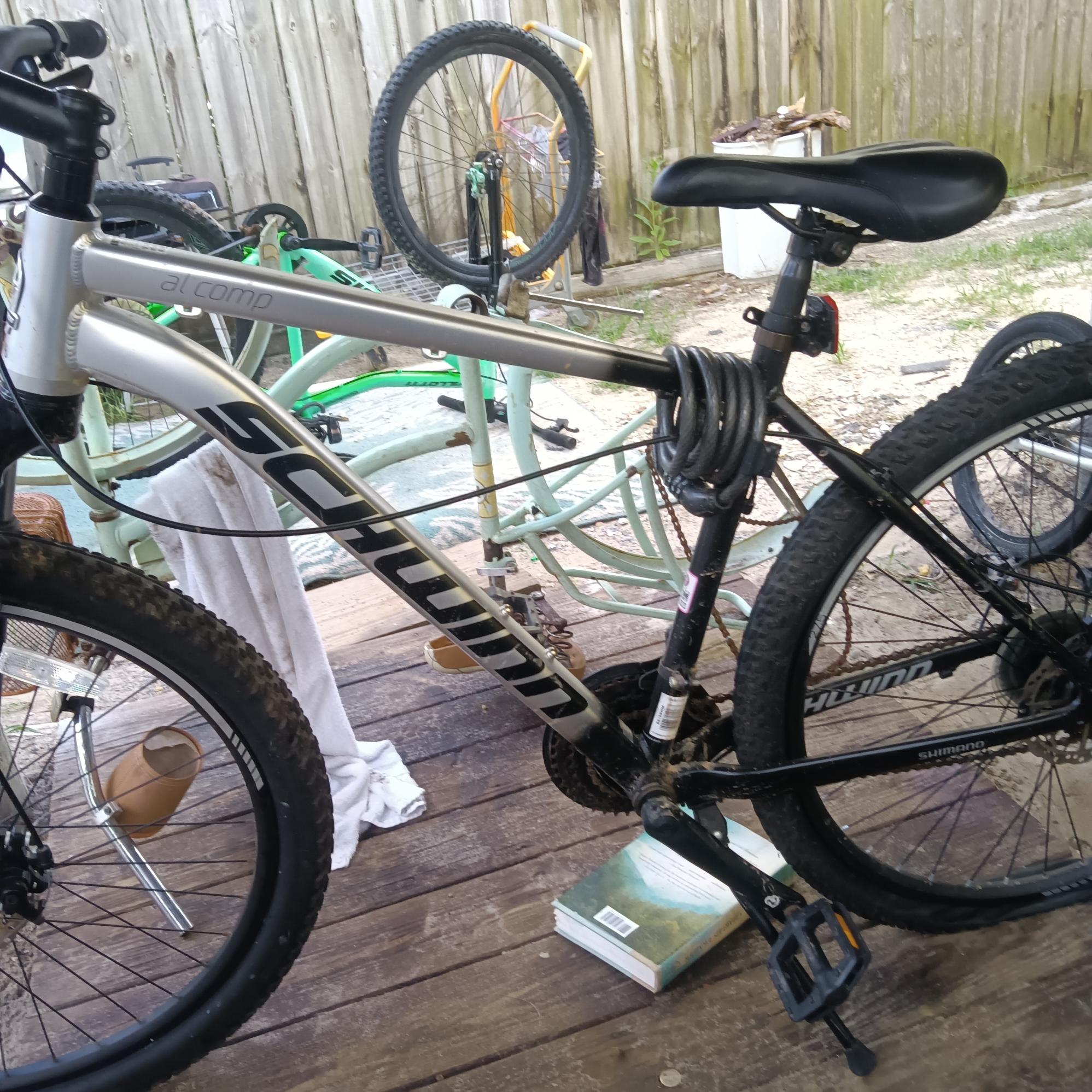 2021 Schwinn S5728WM Silver, gray or bare metal and Black