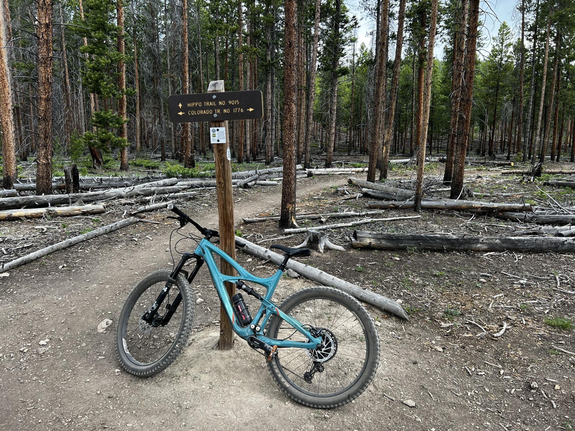 2019 Ibis Mojo 3 Teal