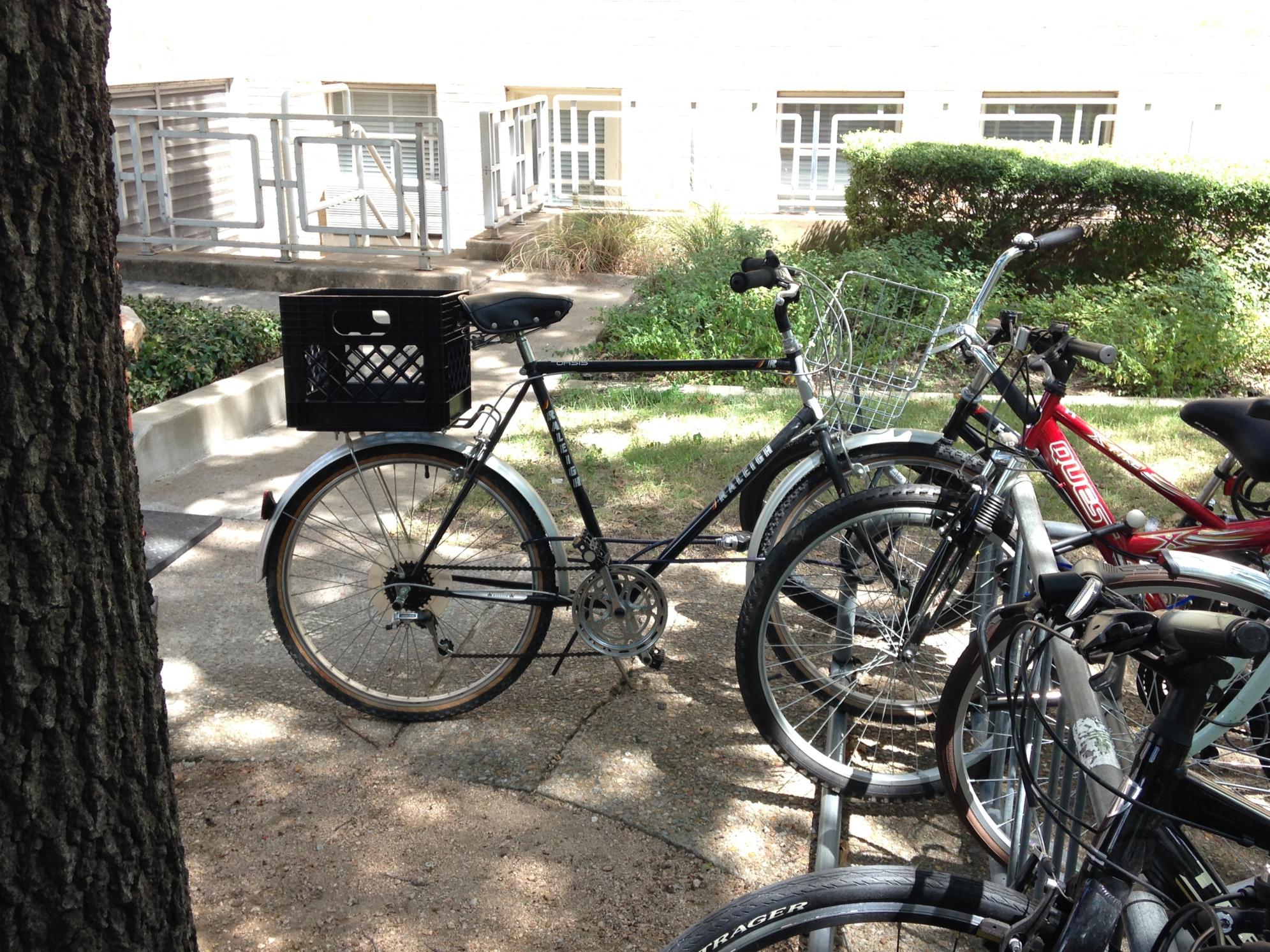 Raleigh Unknown Black