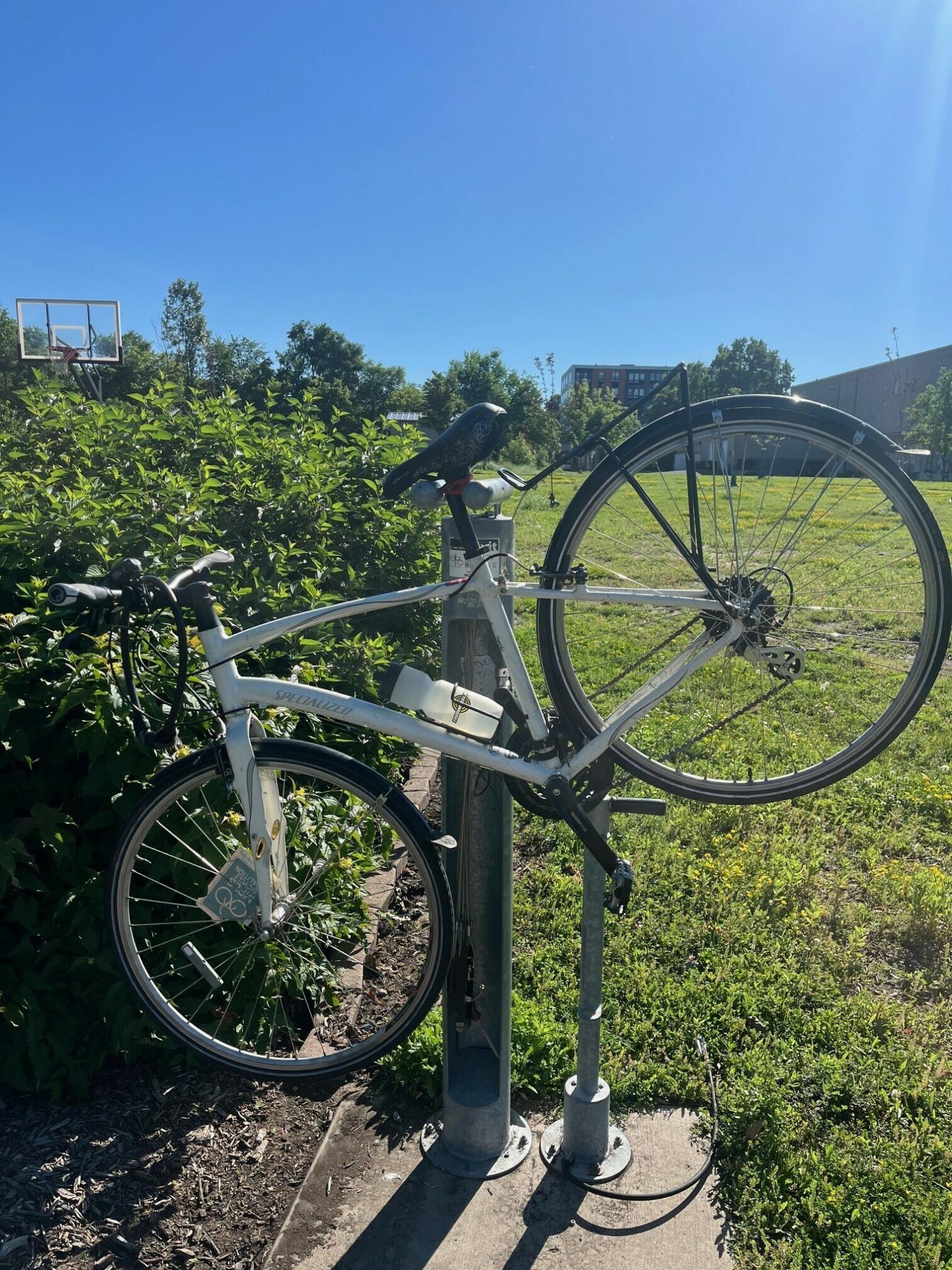 2010 Specialized Vita Sport White