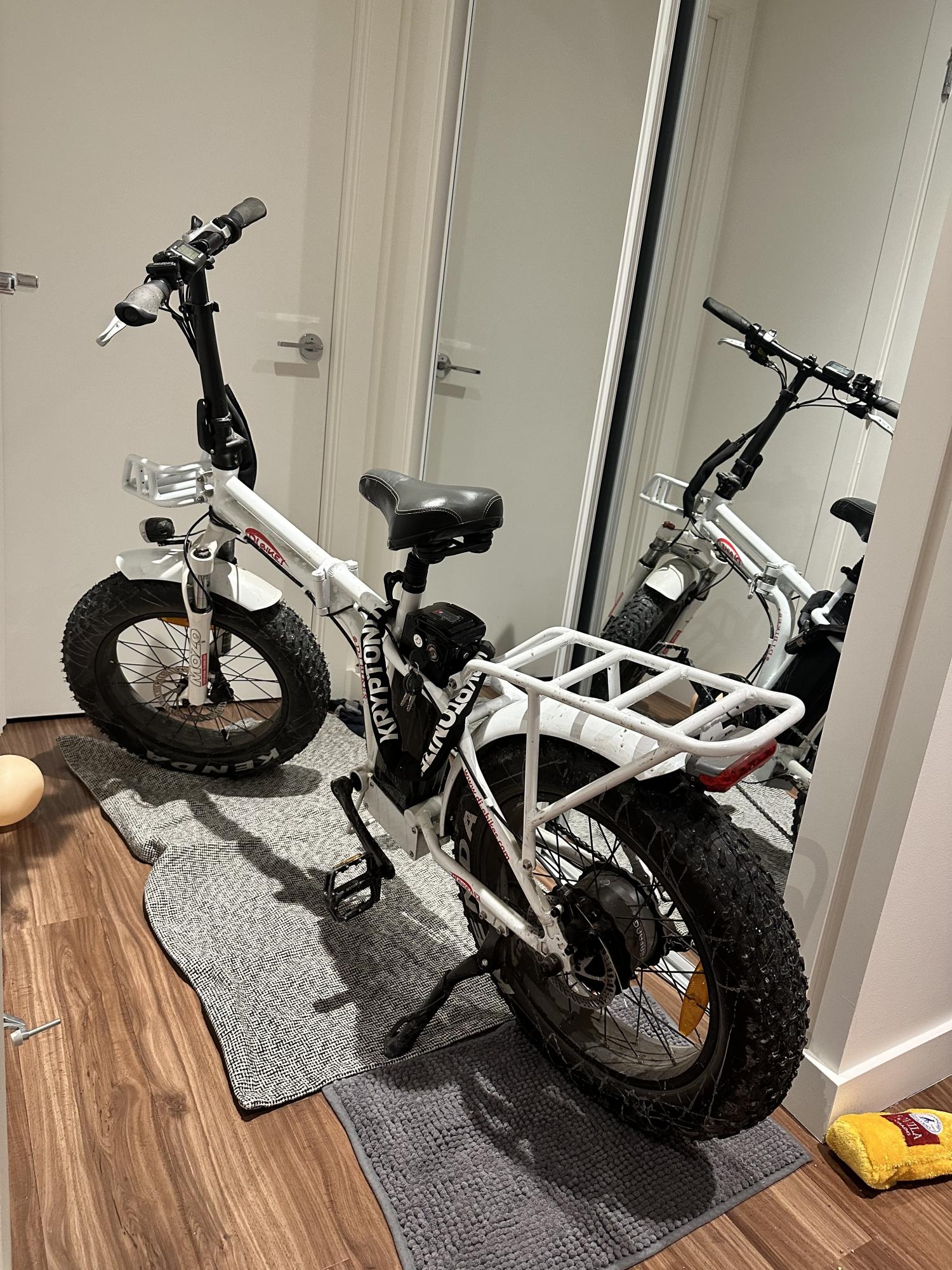 2021 Dj e-bikes Dj folding e-bike White and Red