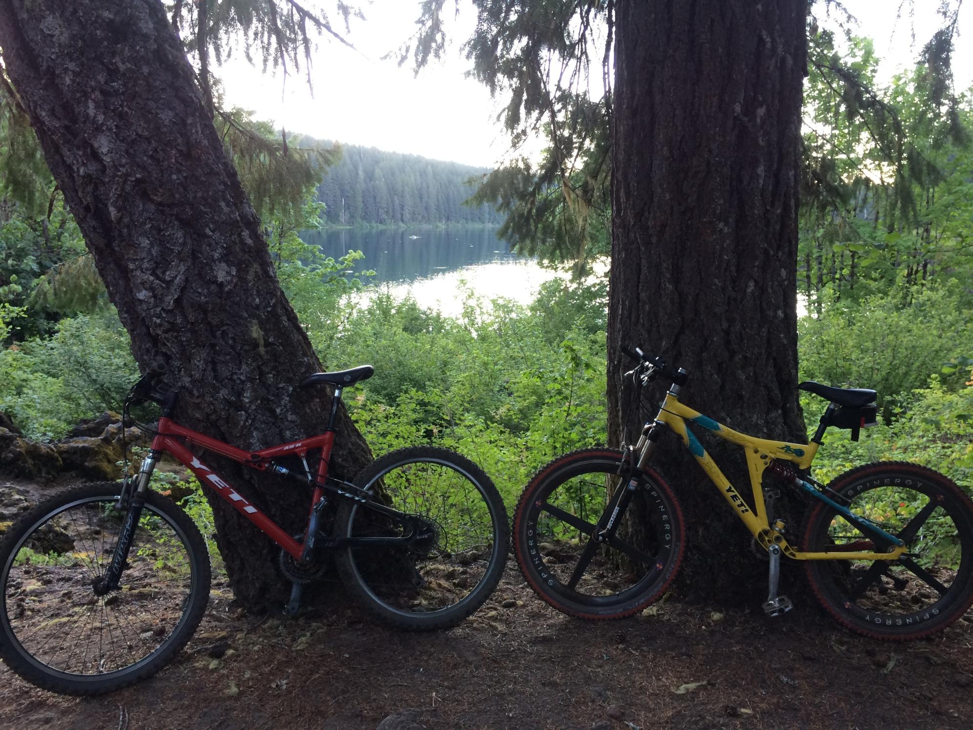 1998 Yeti as3 xc Yellow or Gold and Teal