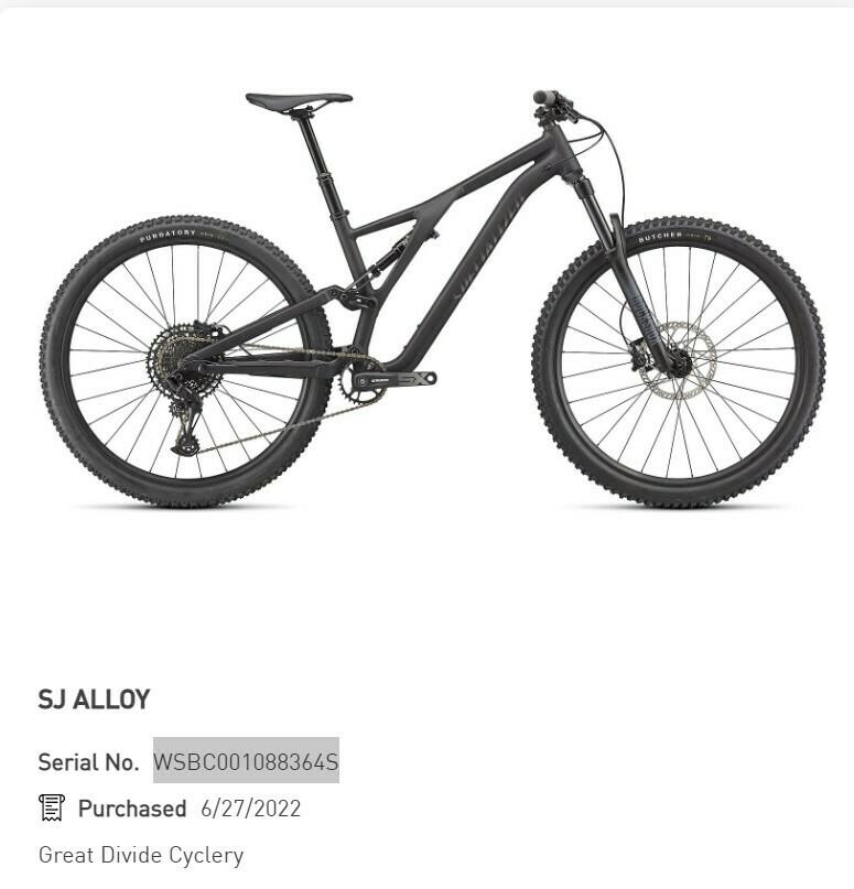 2022 Specialized Stumpjumper Alloy Black