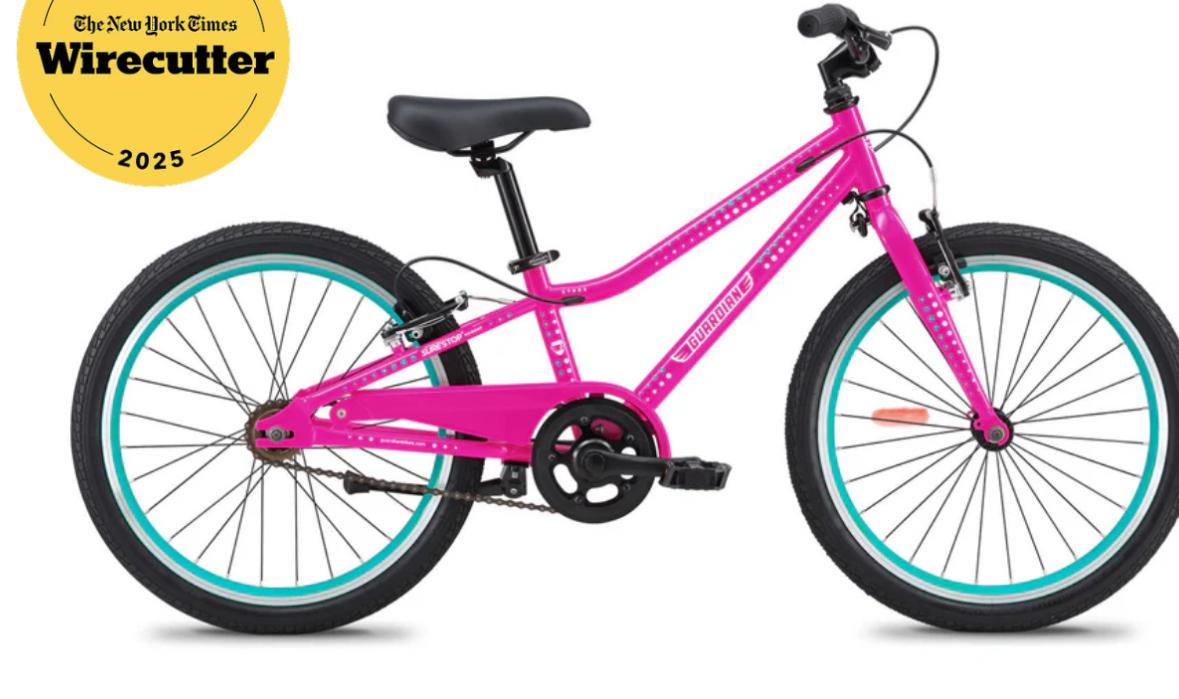 2025 Guardian 20” Small Bike Pink