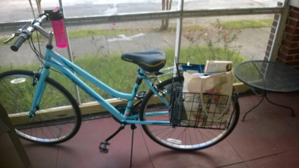 Raleigh Blue