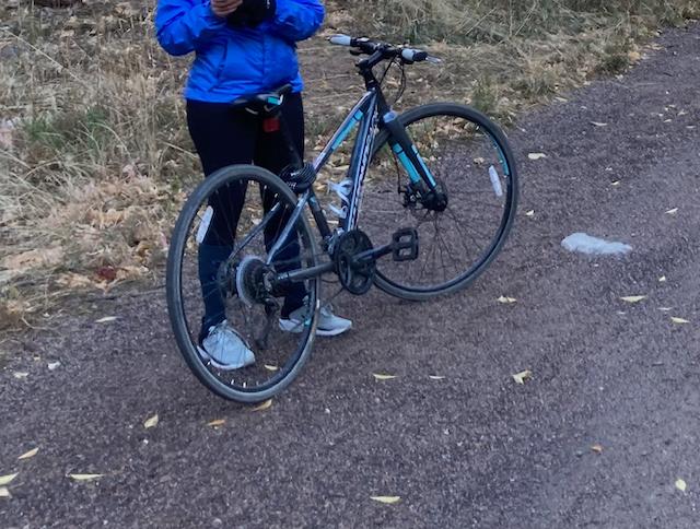 Diamondback Clarity 3 Silver, gray or bare metal and Teal