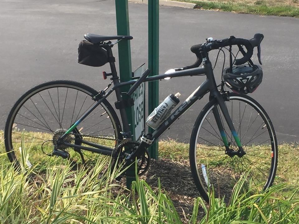 2017 Trek Lexa 2 Silver, gray or bare metal, Green, and Blue