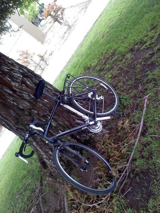 2010 Specialized Tricross  Black