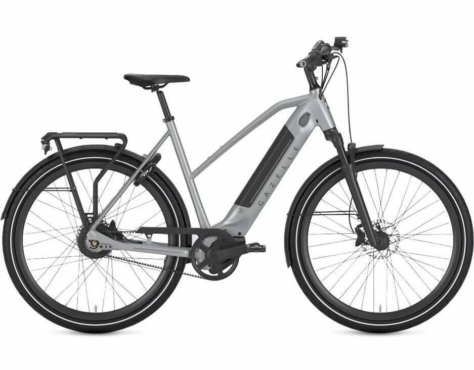 2023 Gazelle Ultimate T10 Silver, gray or bare metal
