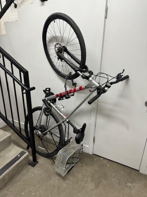 2022 Trek Silver, gray or bare metal