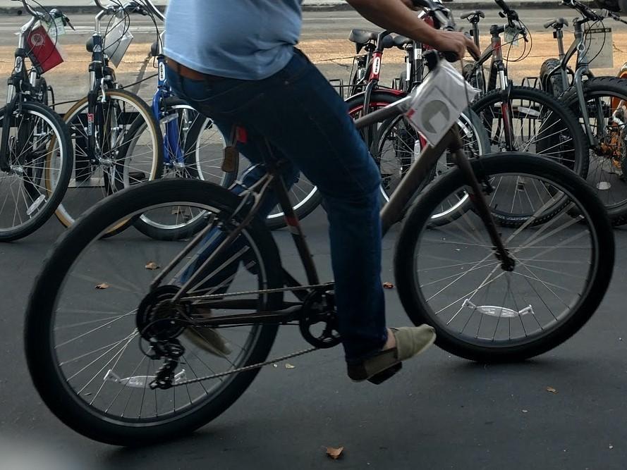 Specialized Roll V Brown