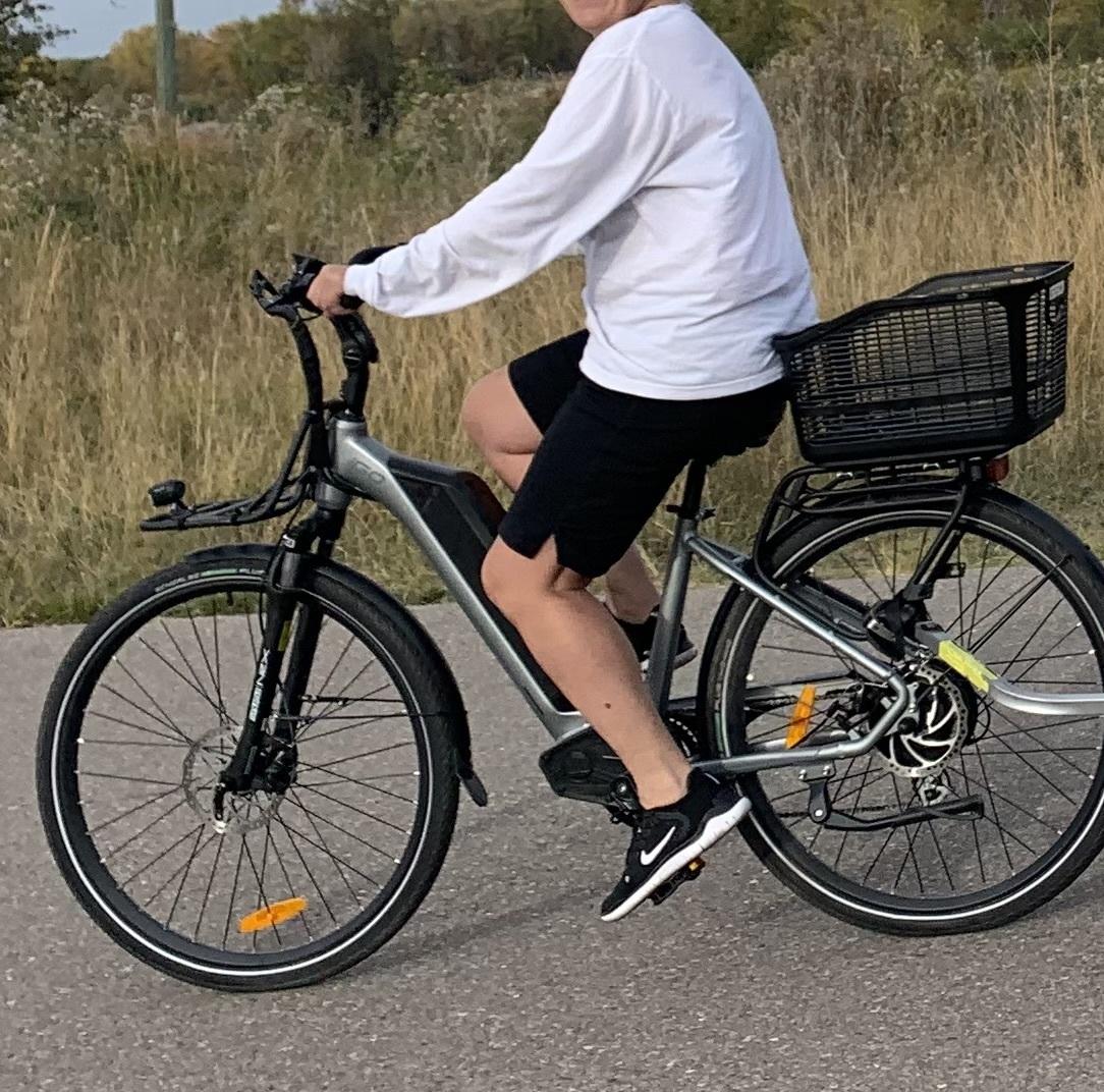 2020 iGo Electric Bikes Cruiser, baskets front and rear Silver, gray or bare metal