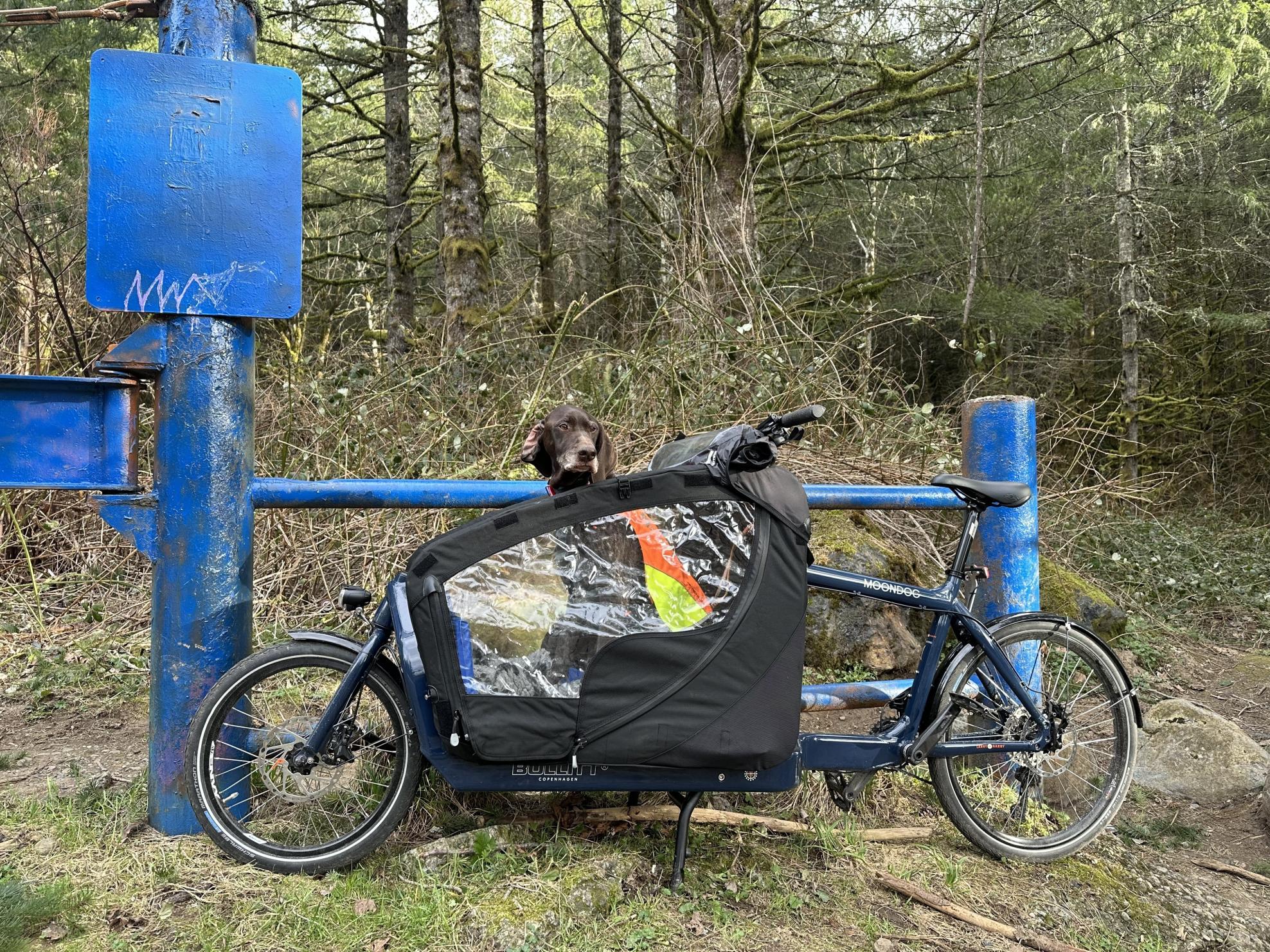 2023 Larry Vs Harry Bullitt cargo bike (front storage) Blue