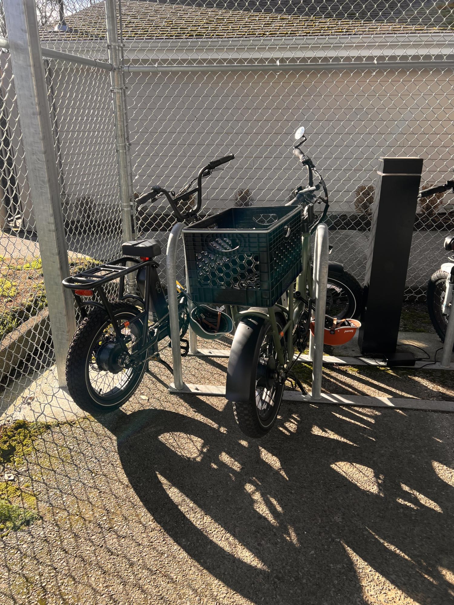 2021 Rad Power Bikes Step Through Green