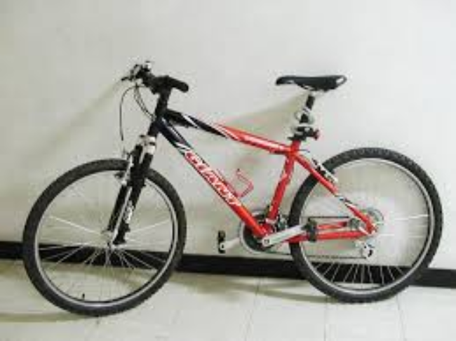 2003 Giant Boulder SE  Red and Orange