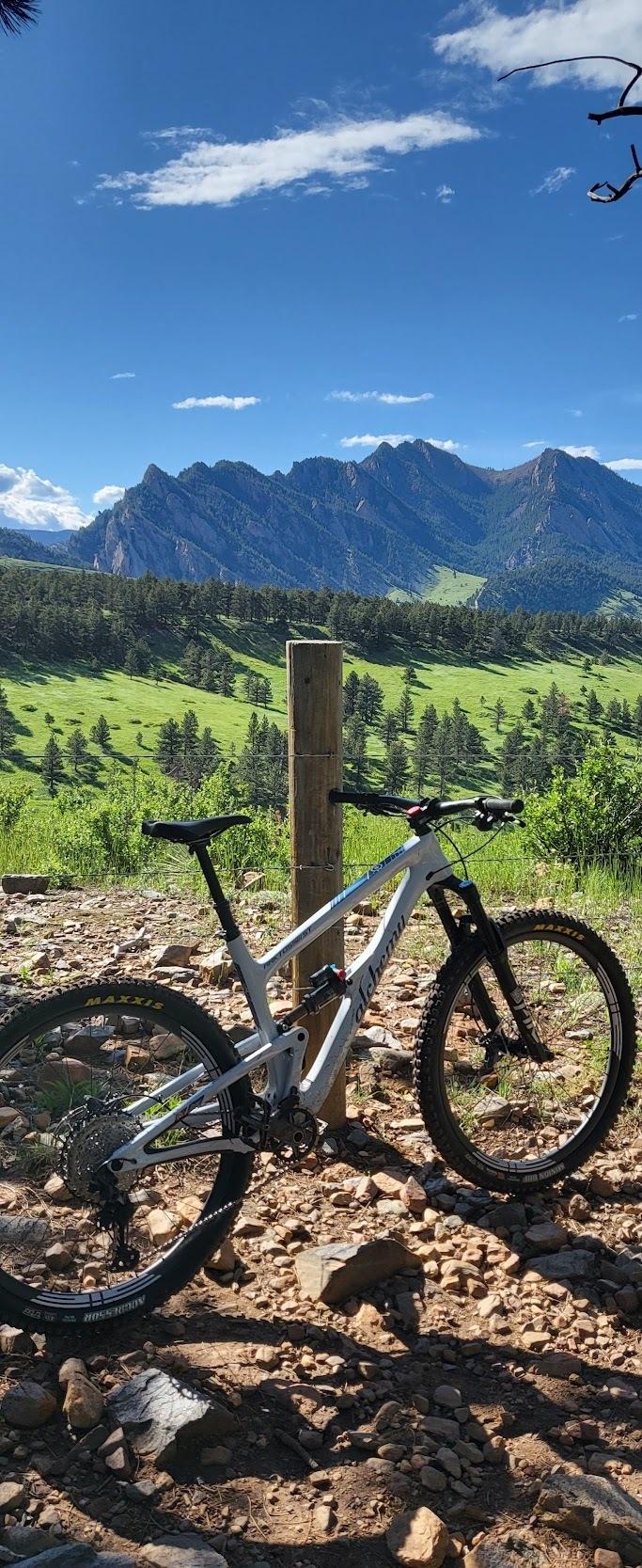 2020 Alchemy Arktos White