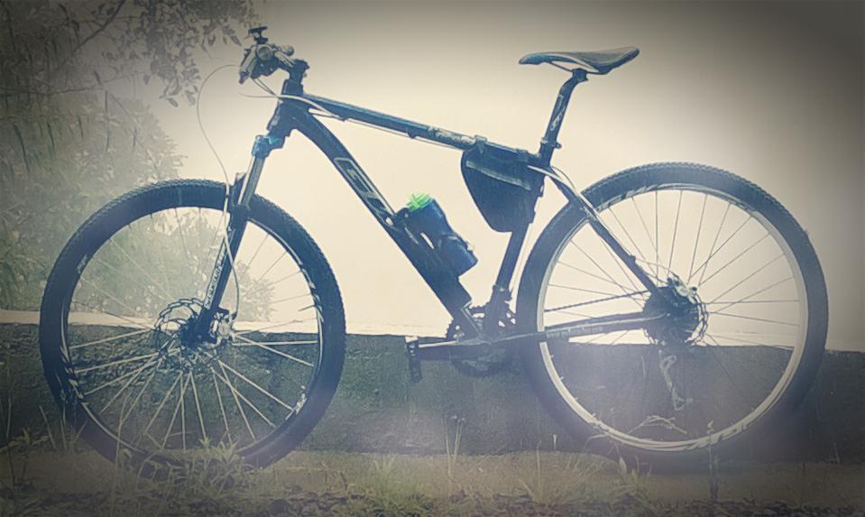 2012 GW Ocelot Black and Blue