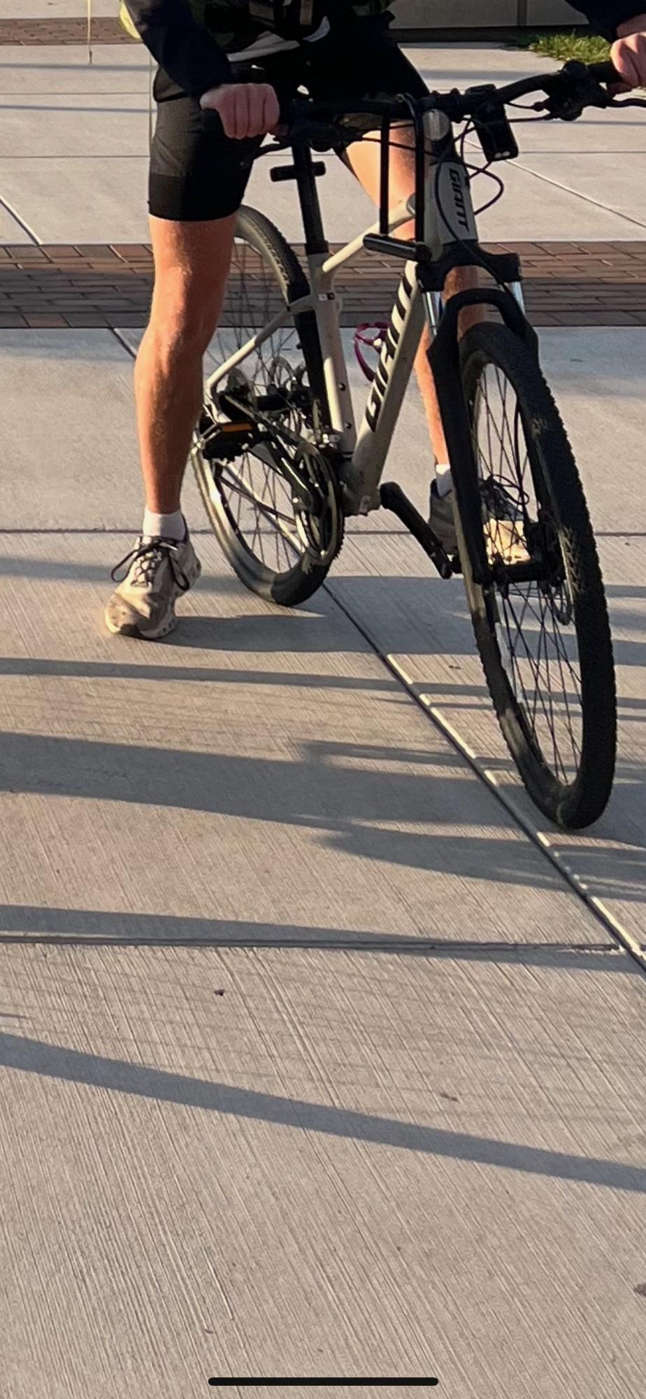 2020 Giant Roam Silver, gray or bare metal