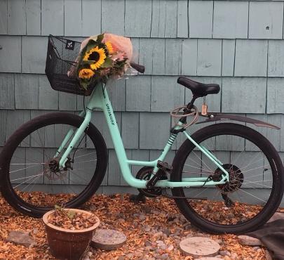 2018 Specialized SKU:86119-6603 Green