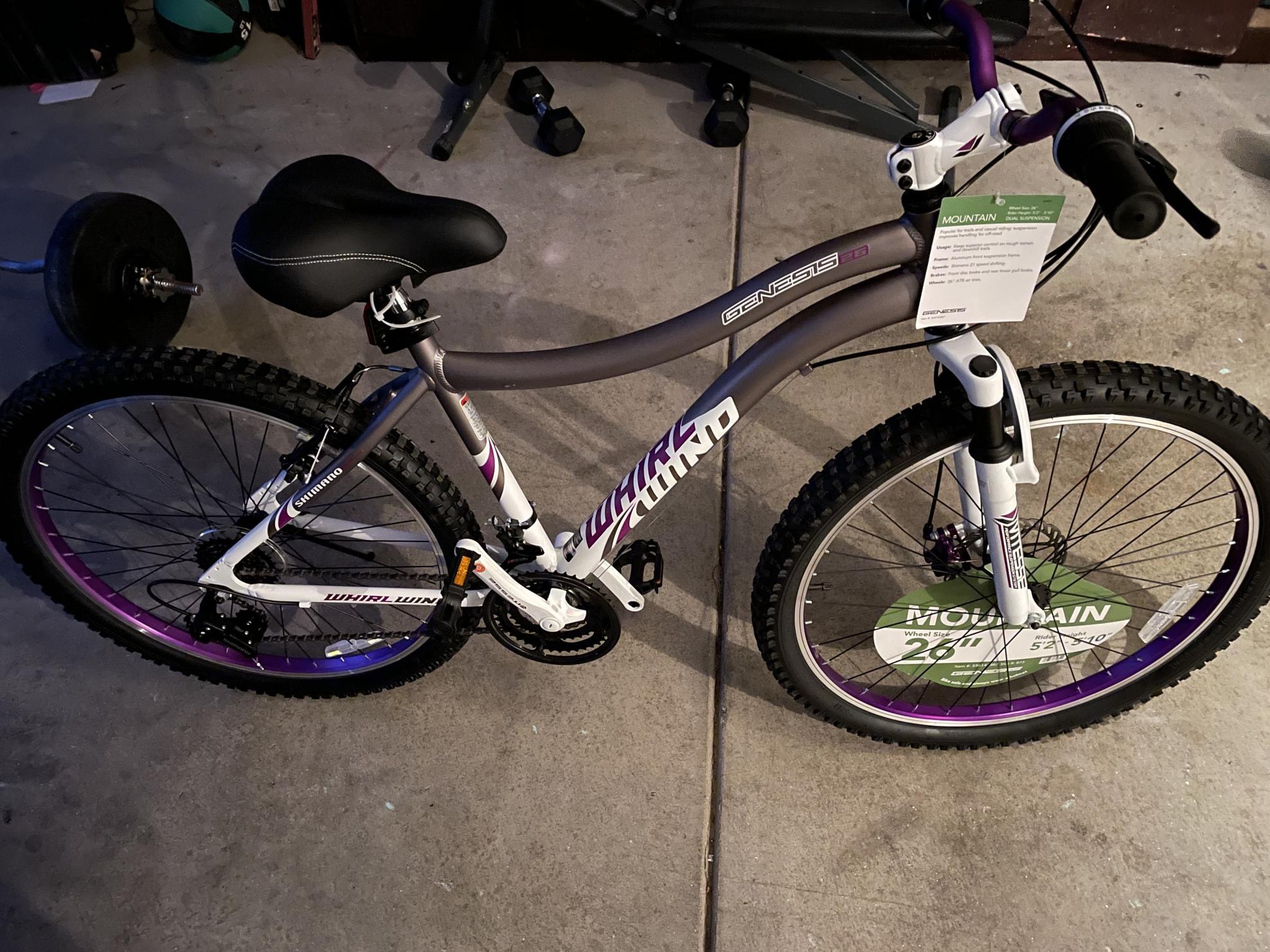 Kent Mountain Bike Frame Silver, gray or bare metal and Purple