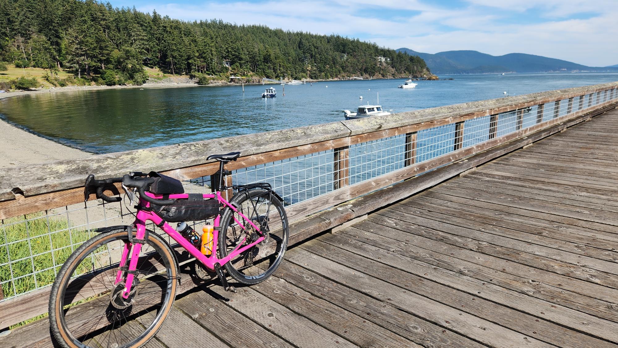 2020 Salsa Warbird Pink