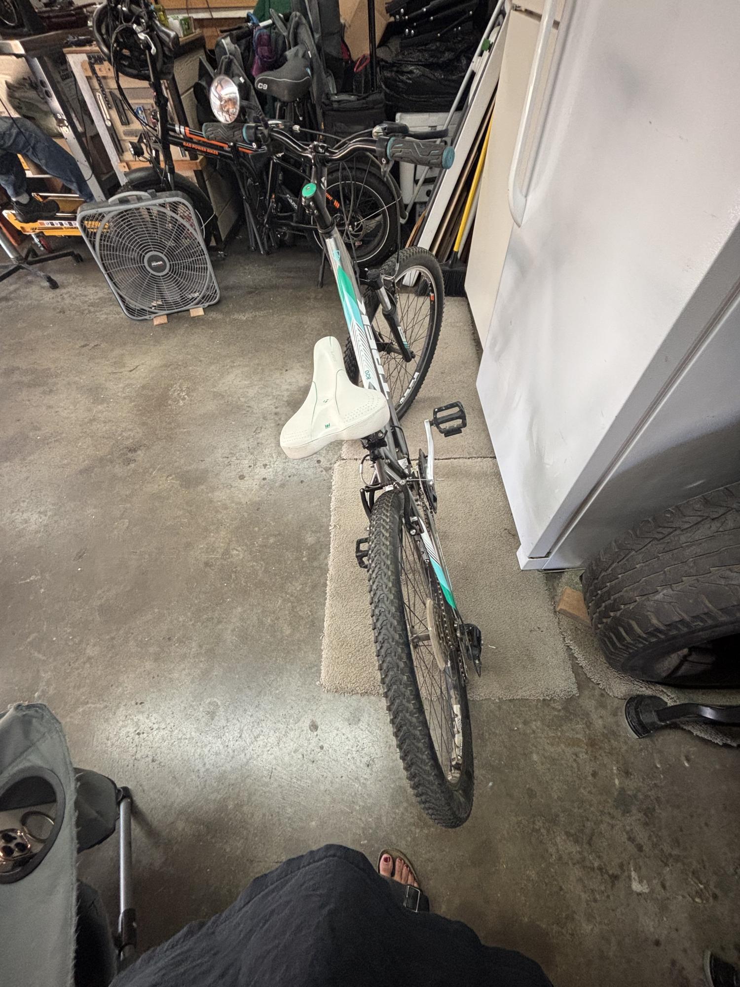 Trek Silver, gray or bare metal