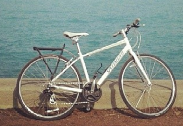 2012 Specialized Vita White