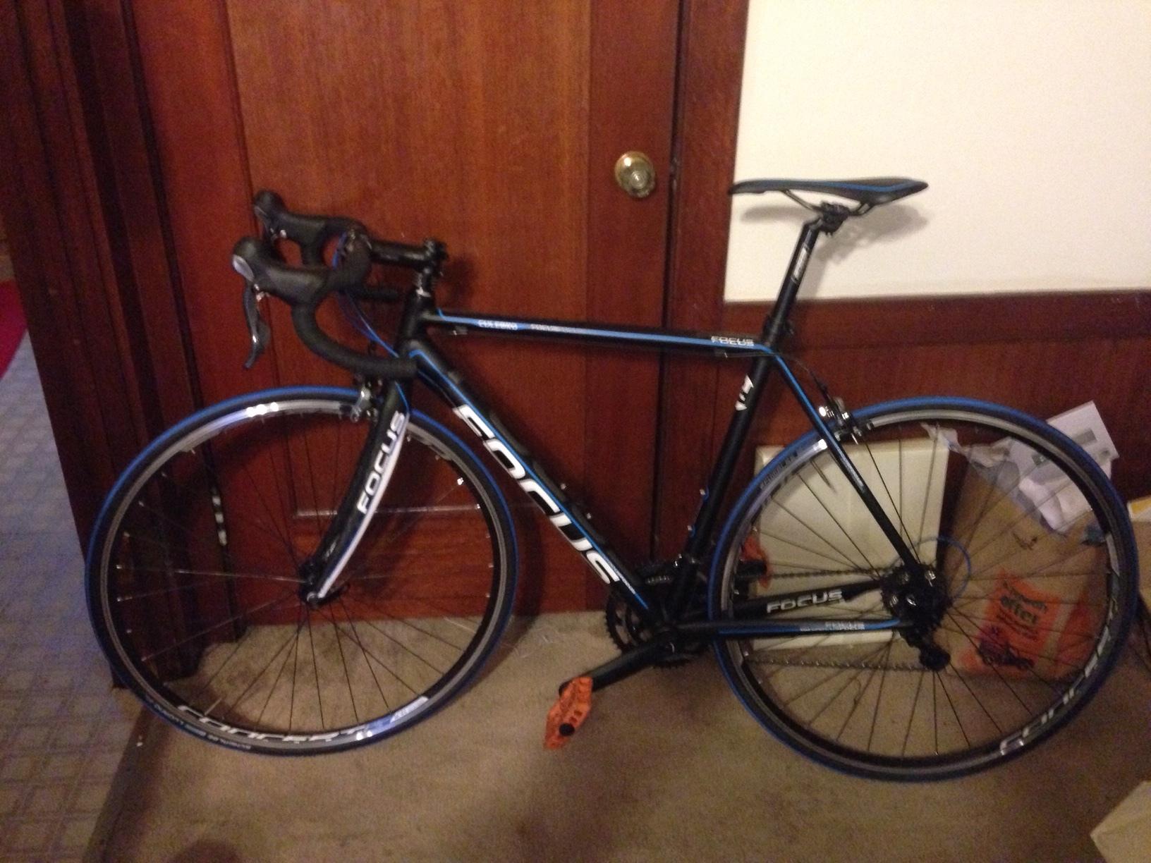 2013 Focus Culebro Black and Blue