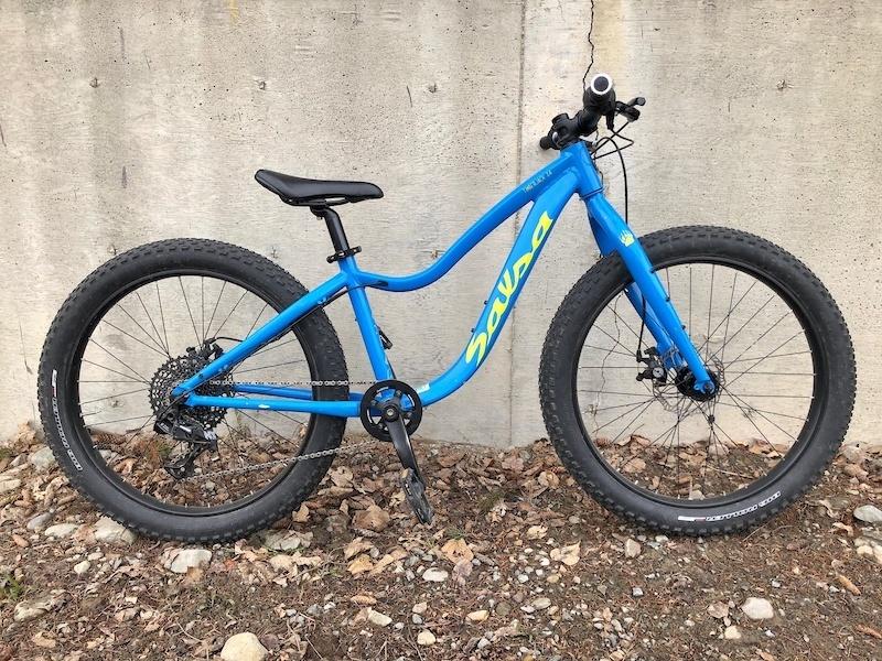 2020 Salsa timberjack 24 Blue
