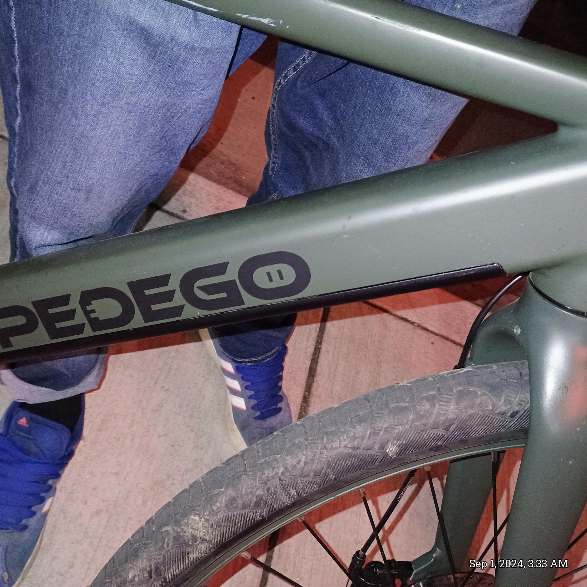 2024 Pedego Green