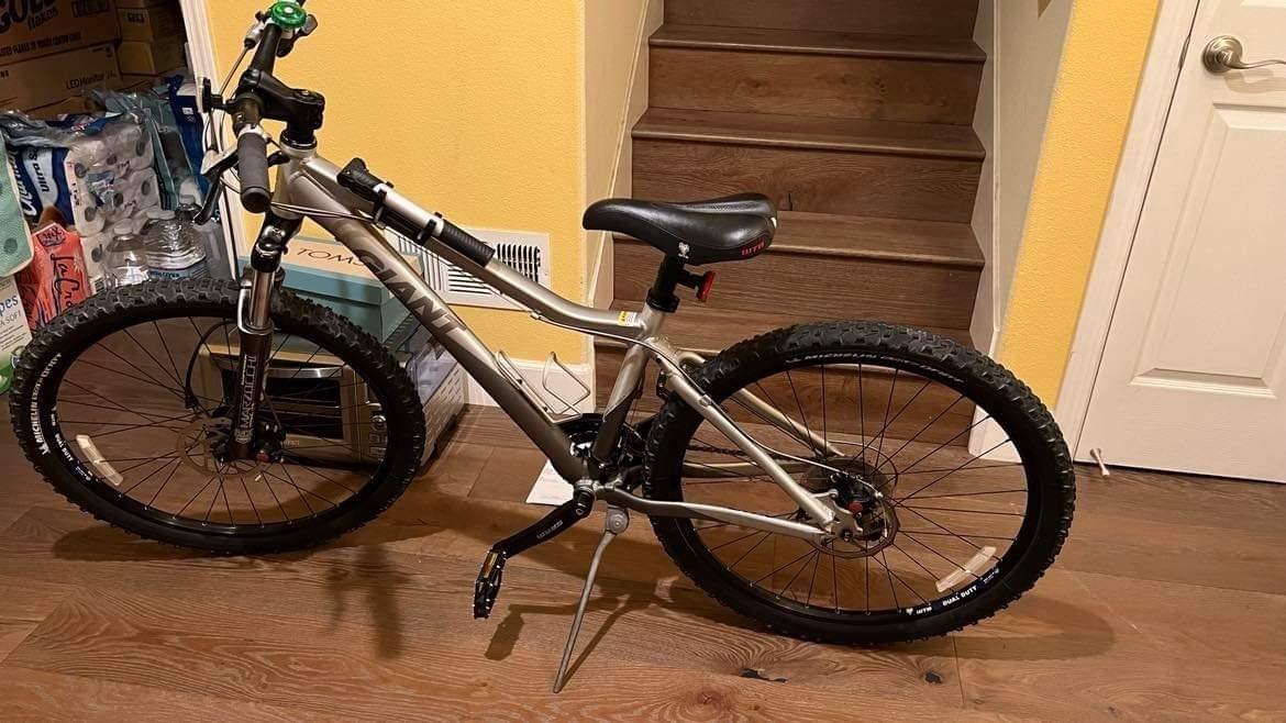 2009 Giant Rainier Silver, gray or bare metal