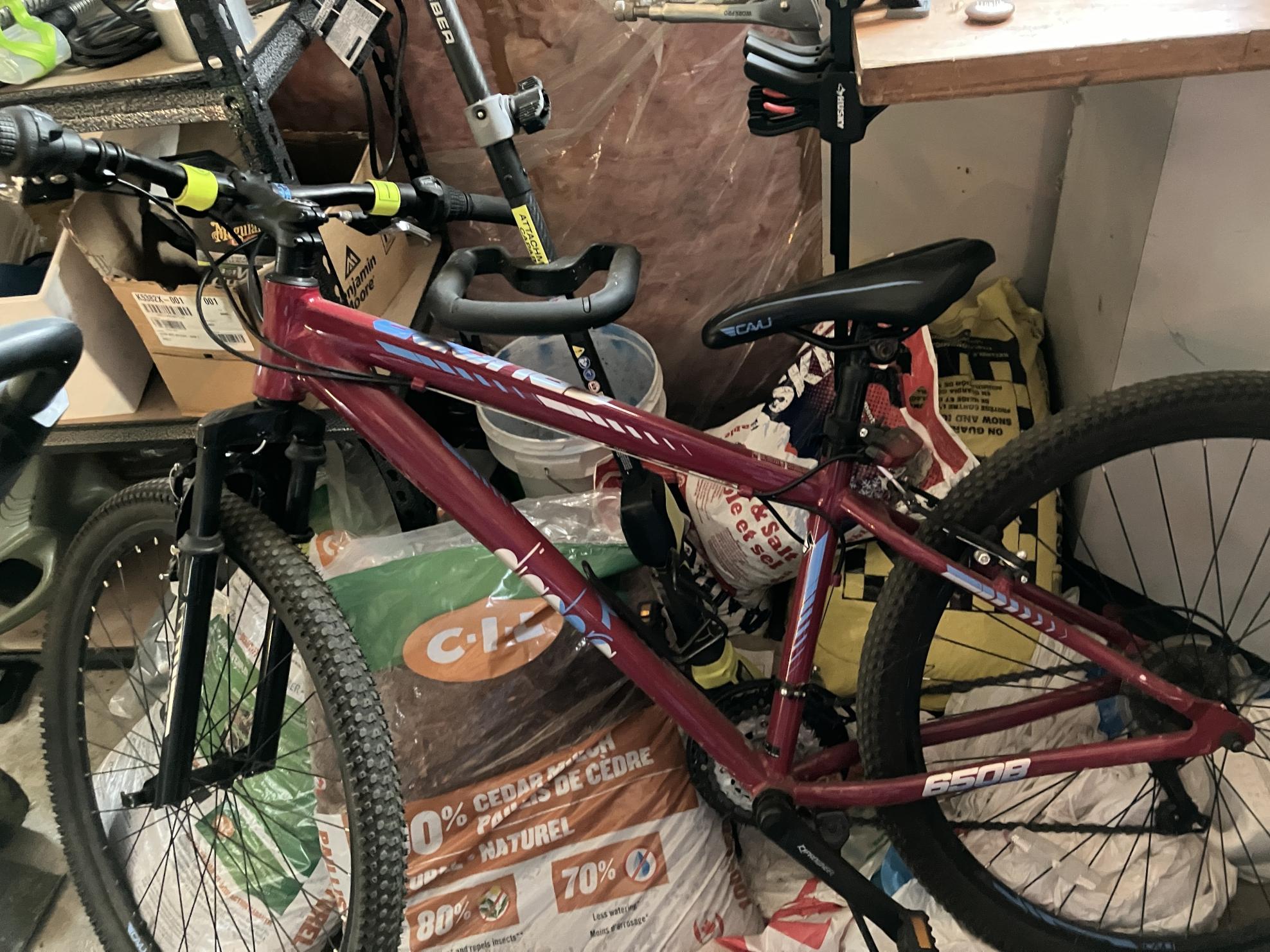 2019 Diadora Savona Pink