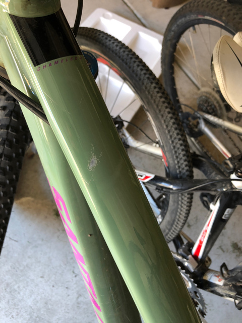 2017 Santa Cruz Chameleon Green