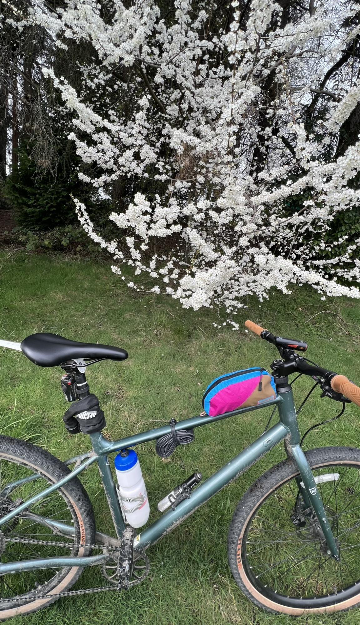 2021 Kona Dew Plus Green