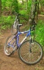 2007 Fuji Nevada  Blue