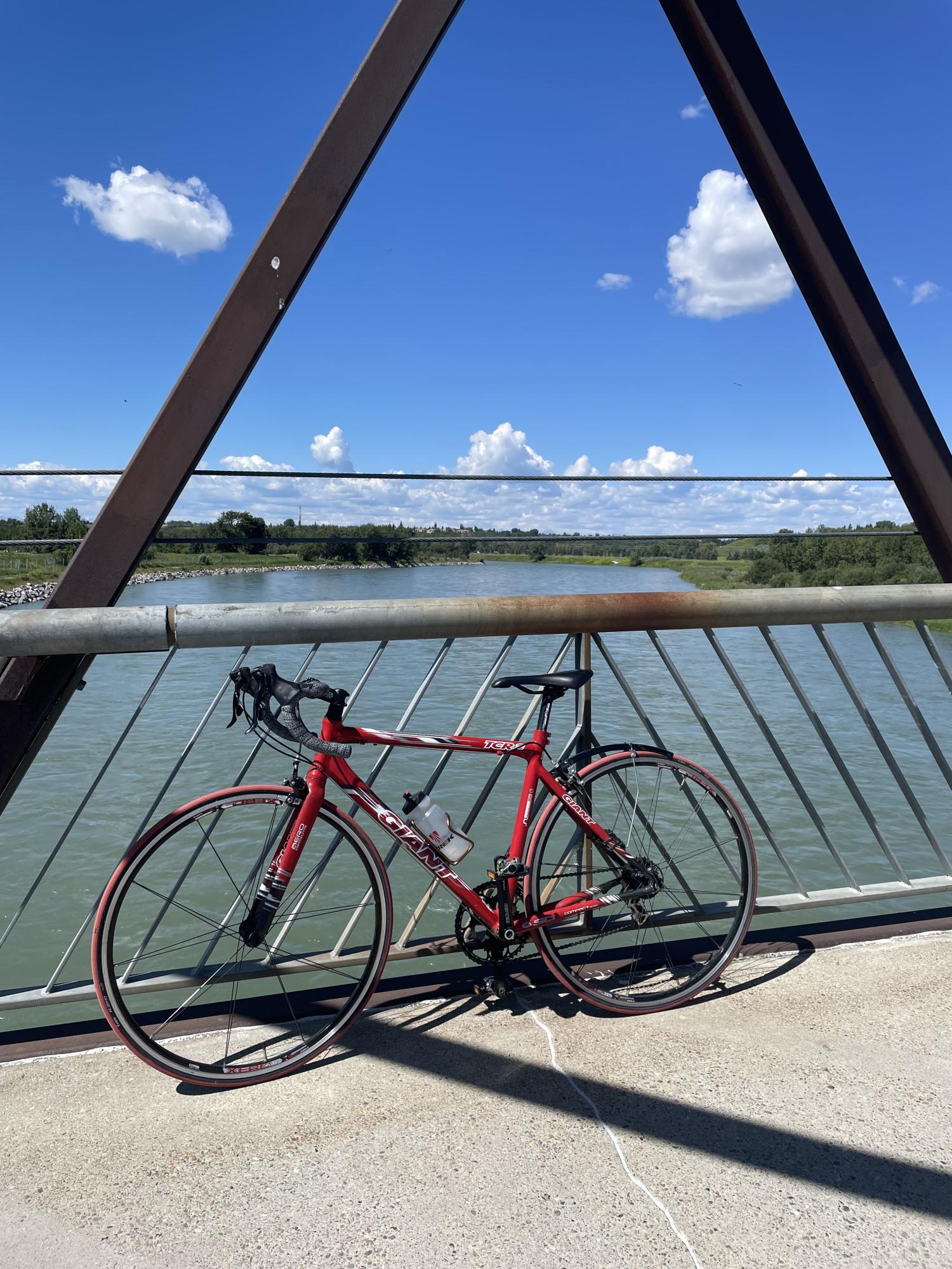 2025 Giant TCR ADVANCED 3 Red and White