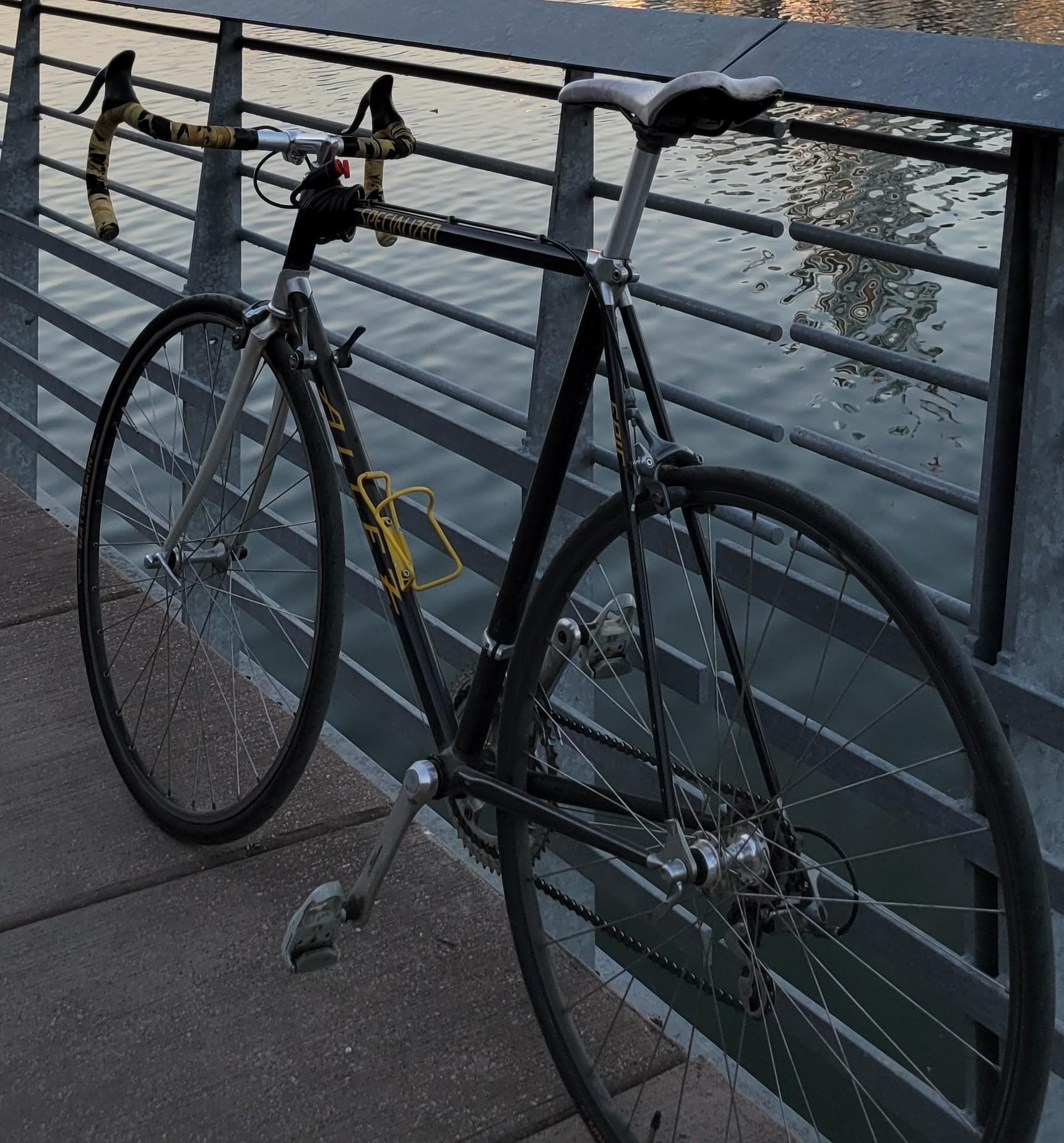 1991 Specialized Allez Black and Yellow or Gold