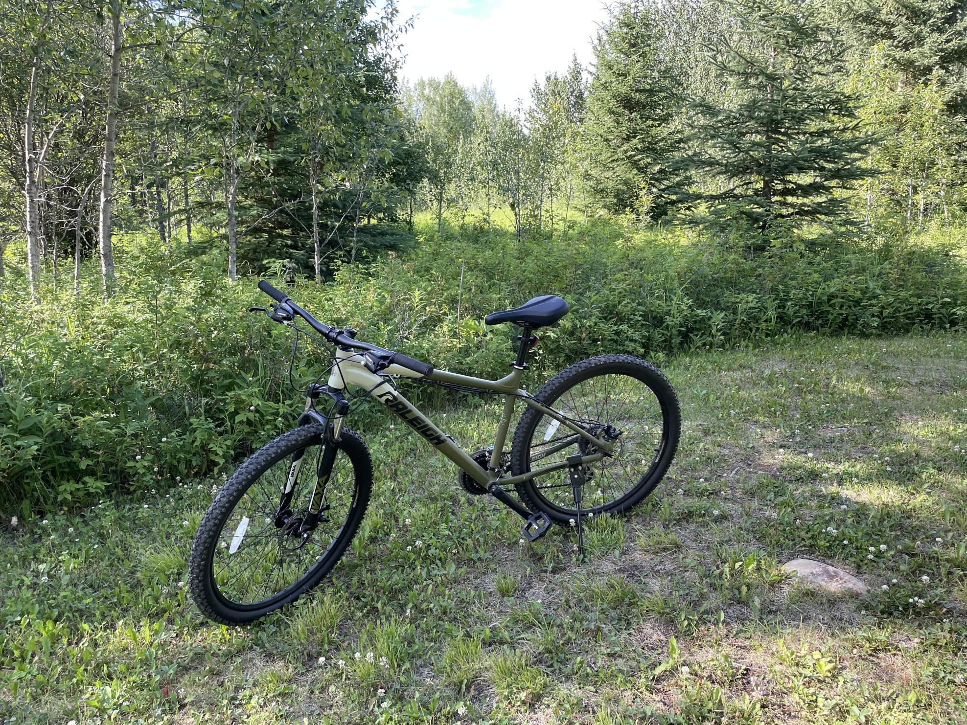 Raleigh Green