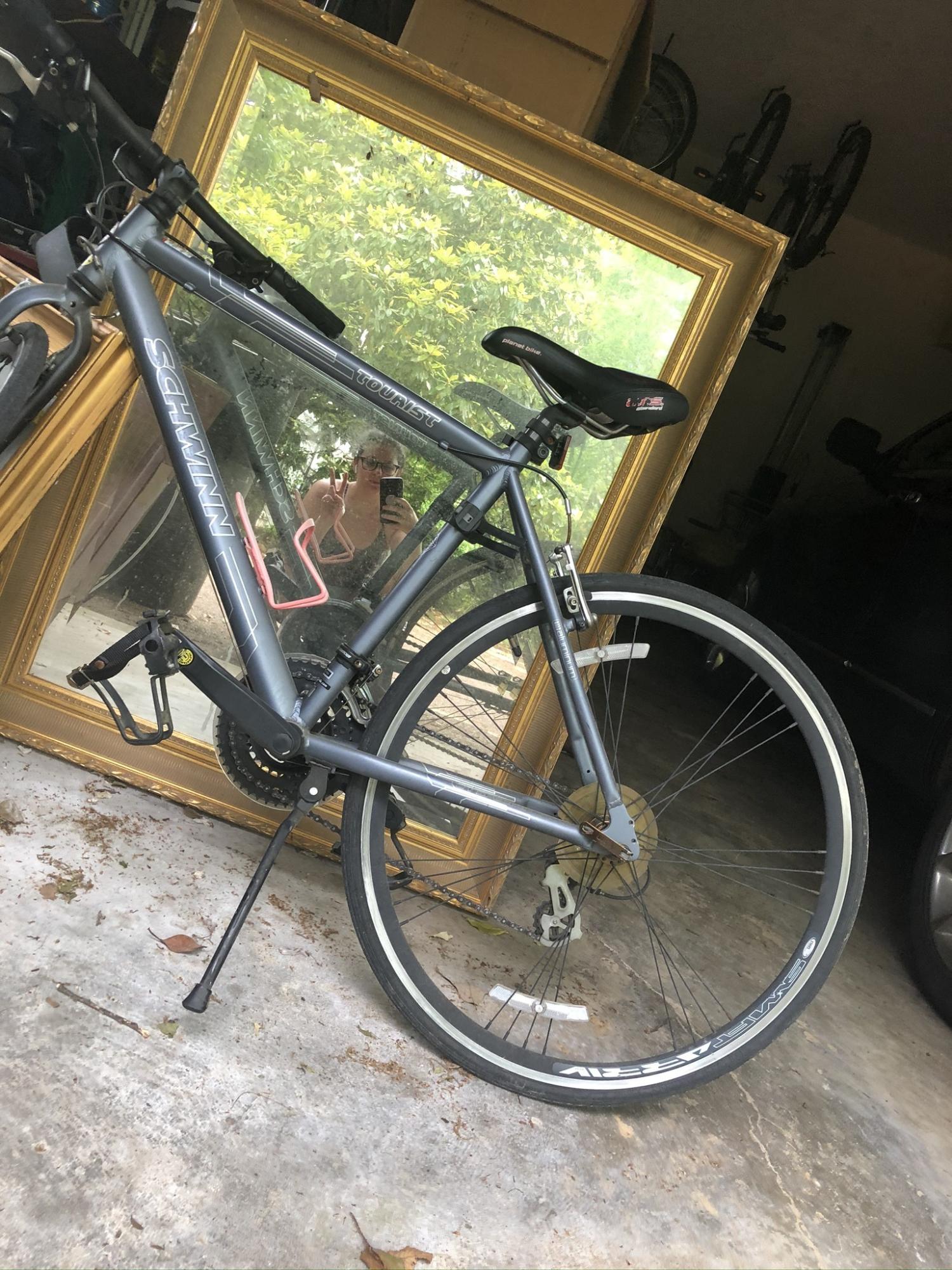 Schwinn Circuit Silver, gray or bare metal