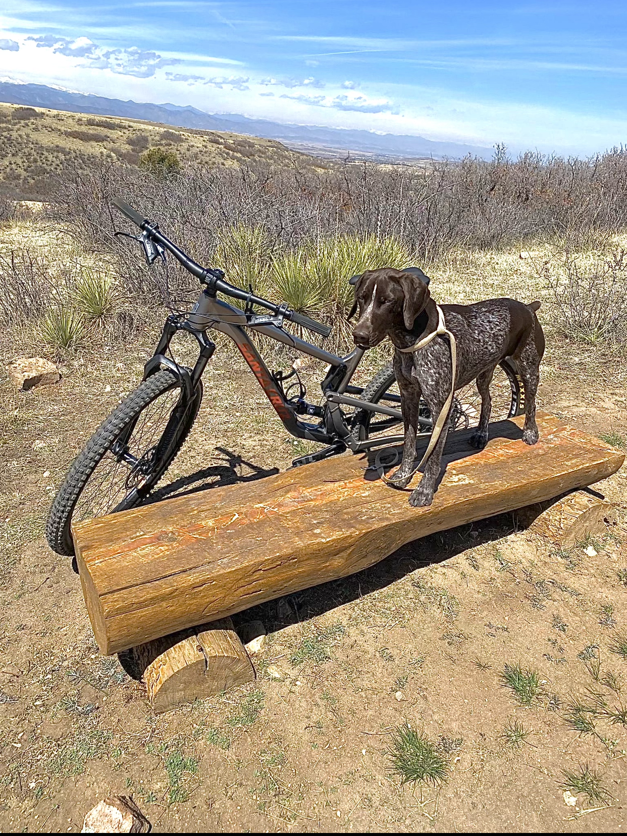 2022 Santa Cruz Tallboy, Medium, AL - D Silver, gray or bare metal and Orange