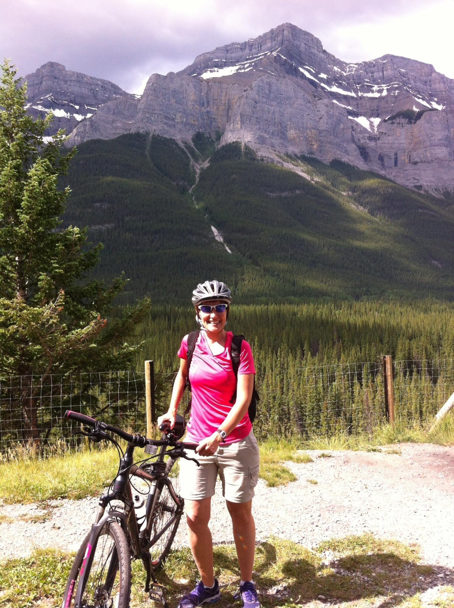 2014 Giant Rove 0  Silver or Gray