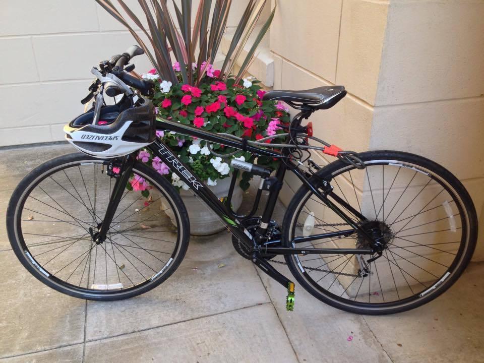 2014 Trek 14 7.3 FX Black