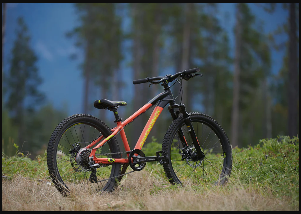 2022 Diamondback Flowdown 24