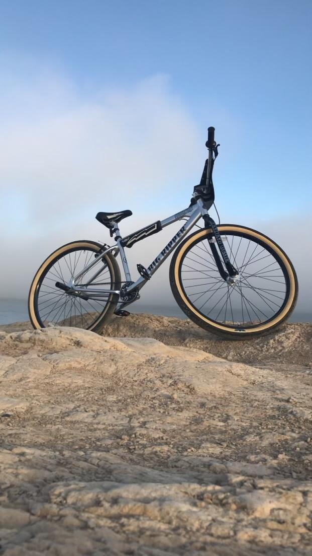 2020 SE Bikes Silver, gray or bare metal