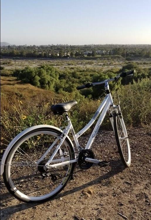 Schwinn Discover White