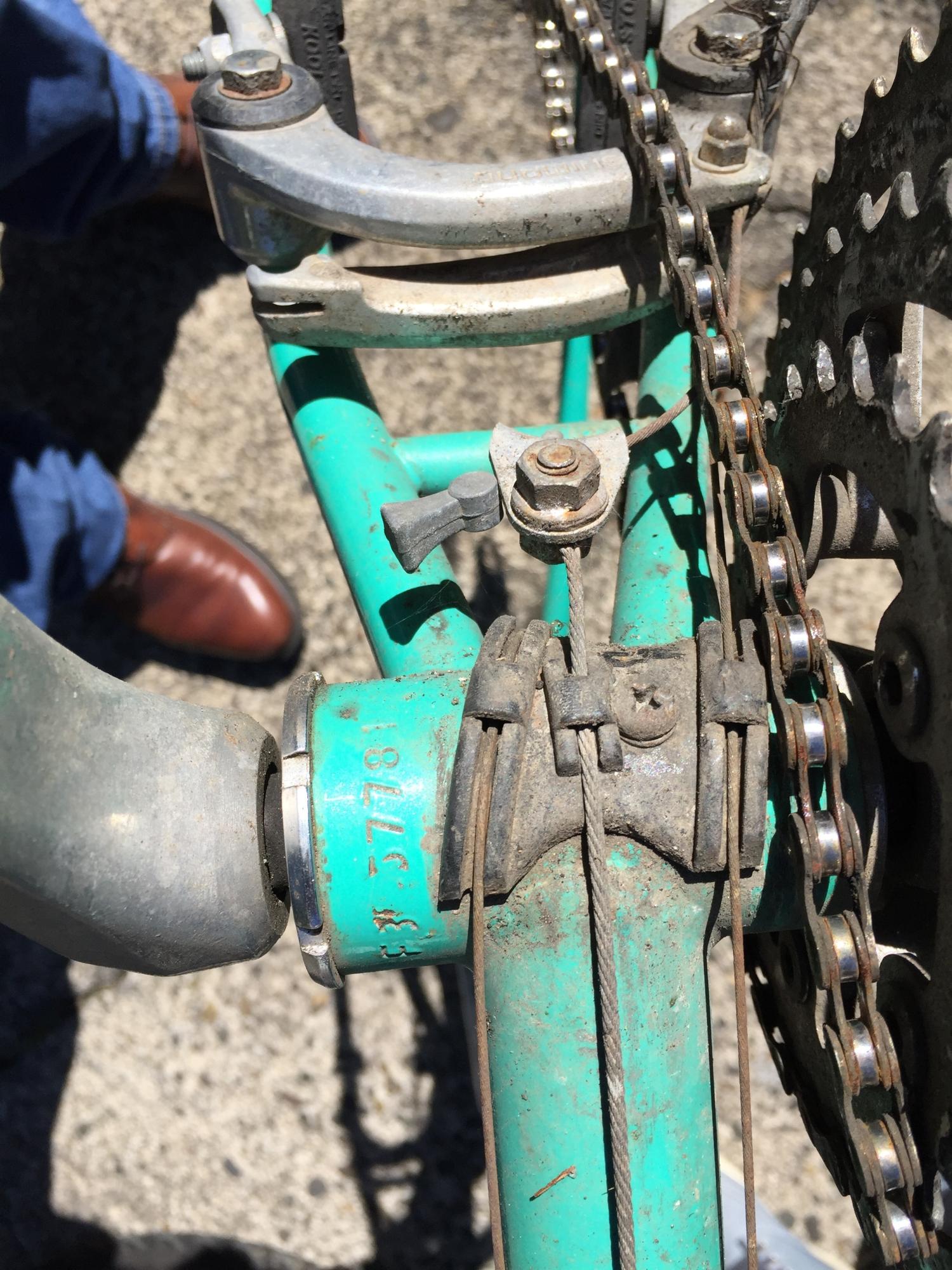 2016 Novara Ponderosa Teal