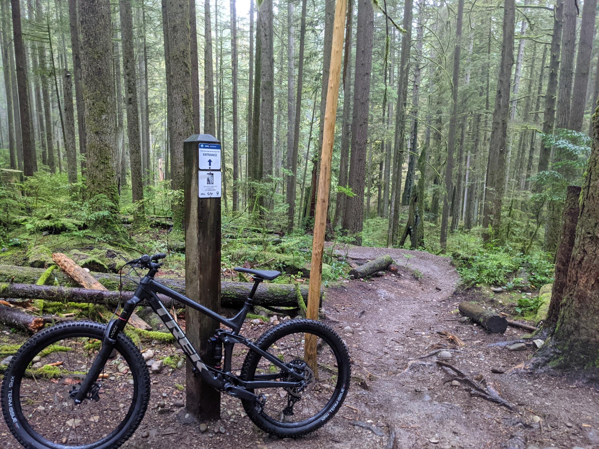 2021 Trek Remedy 8 Silver, gray or bare metal