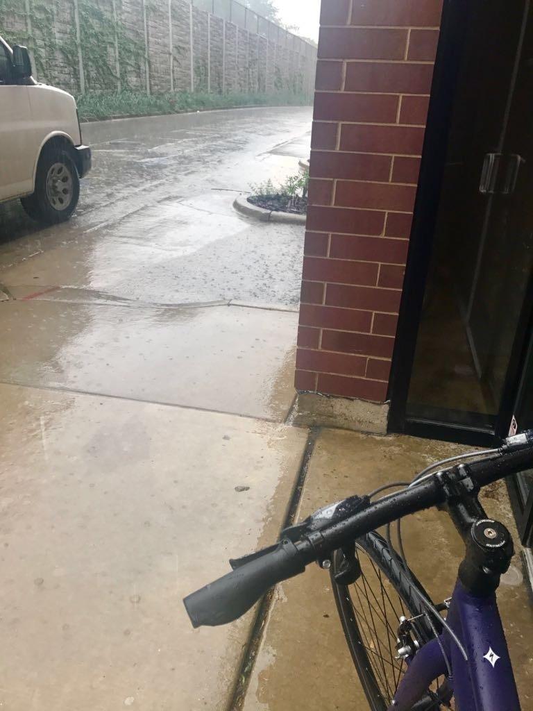 2015 Specialized Vita Purple