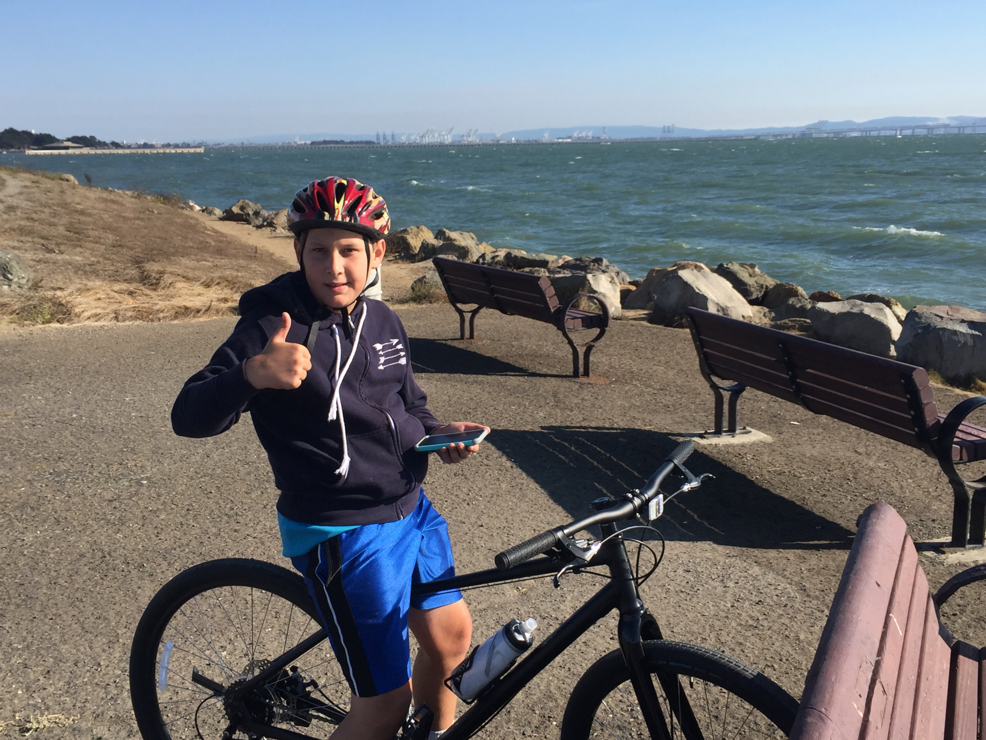 2016 Raleigh 610B Black